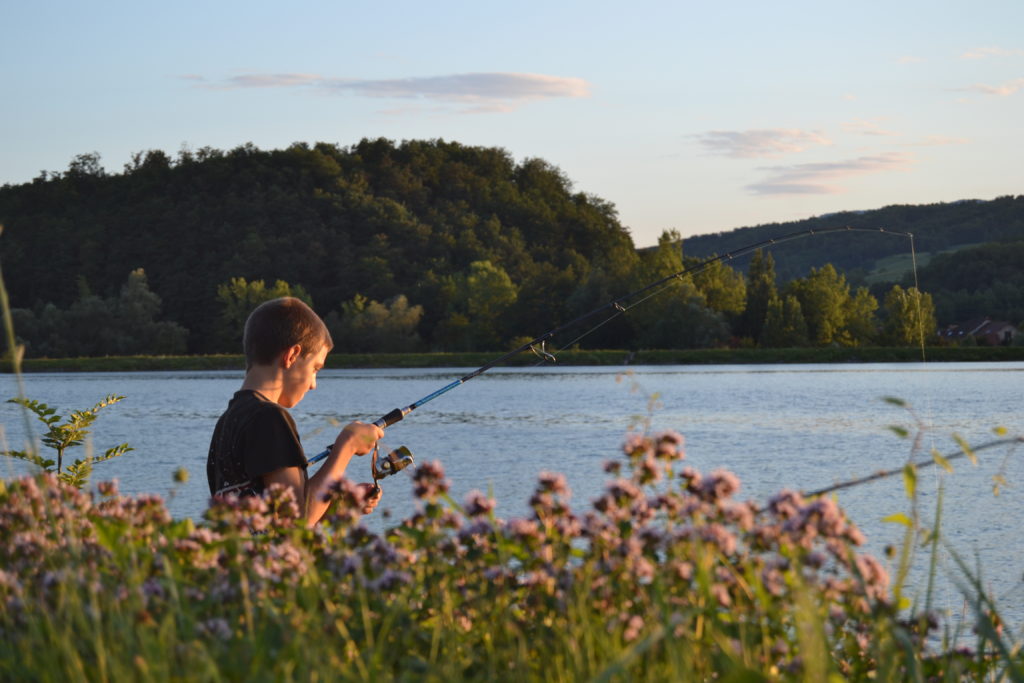 ouverture peche au carnassier 2019